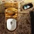 Import chaozhou factory high quality Bathroom wc one piece washdown Ceramic gold plated toilet,gold toilet bowl,golden toilet from China