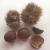 Import Chestnut Wholesale Raw Sweet Fresh Kernel fresh chestnut packed in jute bag from China