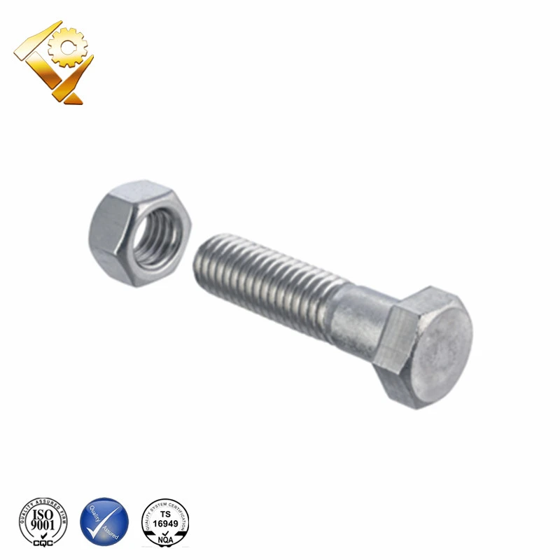 China fastener supplier bolt and nut