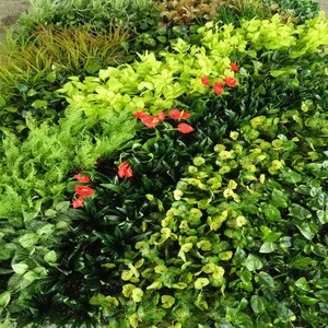 China Artificial Moss For Decoration, Artificial Moss For Decoration  Wholesale, Manufacturers, Price