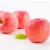 Import China new crop fresh fruits red fuji apples from China