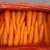 Import China Organic Fresh Carrots for Exporting to Europe Market from China