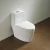 Import China sanitary ware toilet bowl bathroom ceramic wc toilet seat from China