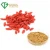 Import Barbury, Wolfberry Fruit Plant Extract, Fresh Goji Berries Extract from China