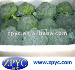Chinese Fresh Broccoli