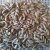 Import Chinese Inner Mongolia Sunflower seeds &amp; kernels with good quality from China