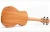 Import Chinese OEM handcraft musical instruments 21inch ukulele with 4 nylon strings from China