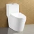 Import Chinese Washdown Toilet Bowl from China