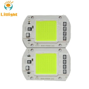 Chip on Board White Red Green Blue Color 20W 30W 50W High Power AC 220V/110V Driverless Cob Led chip