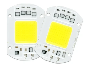 COB LED Lamp Chip 10W 15W 20W 30W 50W LED COB Bulb Lamp 220V IP65 Smart IC Driver Cold/ Warm White LED Spotlight Floodlight