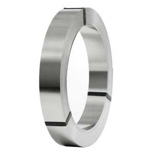 cold rolled ss 310S 410 409 stainless steel strip