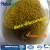 Import Competitive Price Beta Glucanas for Aquatic Animals from China
