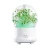 Import Cool Mist humidifier aroma diffuser for Office Home Bedroom Living Room Study Yoga Spa from China