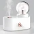 Import Cool Mist Humidifier Spray Moisturizing Ultrasonic Mini Air Humidifier with Warm Night Light from China