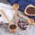 Import creative long handle wooden spoon for coffee bean from China