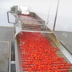 Crushed Tomato