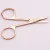 Import Customized Logo Stainless Steel Beauty Scissors Rose Gold Hairdressing Trimming Scissors Stainless Steel Eyelash Scissors from China