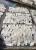 Import Cuttlefish Bone in bulk from Vietnam
