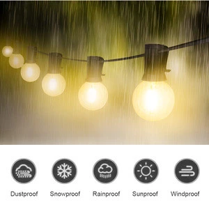 Decorative Waterproof Outdoor Led String Light For Christmas Holiday Lighting
