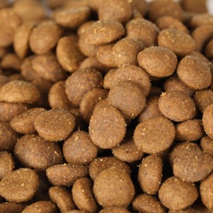 Dog Granular Food General Dog Food