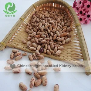 LSKB/Light Speckled Kidney Beans, Dried Beans in Bulk Packing