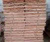 Dried wood Veneer and Rotary Cut Eucalyptus core veneer origin of Vietnam