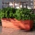 Import Eco Friendly Plastic Metal Frame Elevated Raised Garden Planter Bed Vegetables from China