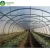 Import Economy Tunnel PE+EVA Plastics Film Greenhouse Agriculture from China