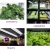 Import edl vertical garden indoor plant accessories fixtures growing lights led hydroponic grow lights from China