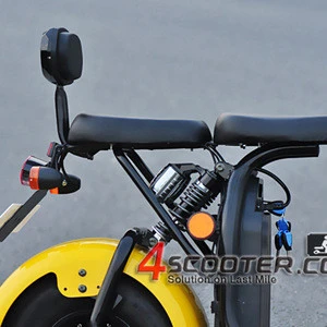 EEC APPROVED handicapped electric scooter citycoco 1500w electric scooter