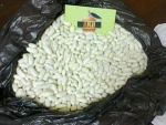 egyptian white kidney Beans high quality A