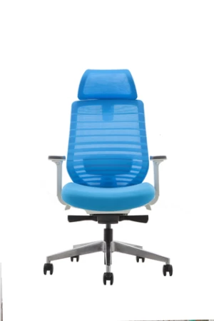 Enova Luxury Adjustable Swivel Ergonomic Office Chairs Modern Boss Manager Executive Mesh Office Chair