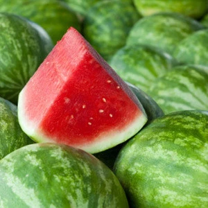 Exporters of Quality Juicy and Fresh Water Melons