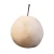 Import Factory direct sale of fresh and juicy pears from China