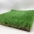 Import Factory Direct Supply turf grass artificial grass sports from China