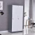 Import Factory Directly Supply Modern Design Office Furniture Steel 2 Door Wardrobe Cabinet from China