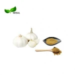 Factory Supply Black Garlic extract / Garlic Extract Powder