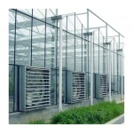 Factory supply  modern glass greenhouse industrial glass greenhouse greenhouse garden glass