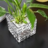 Fashionable Thickened Crystal Glass Vase Creative Rich Bamboo Table Flower Vase Arrangement