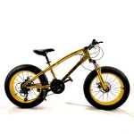 fat cycle snow mountain bike fat tire bicycle