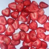 FD Freeze Dried Organic Strawberry Block Fruit Products