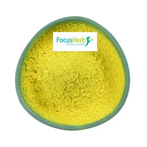 FocusHerb Natural Sophora Japonica Flower Bud Extract 98% Quercetin Anhydrous