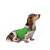 Import Free Shipping 2020 New Product Designer Pet Dog Anxiety Jacket from China