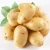 Fresh natural high quality organic china potatoes