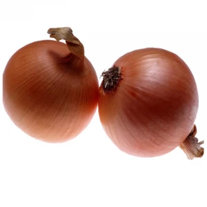 fresh red ONION , yellow onion , Egypt onion