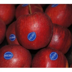 Fresh Royal Gala Apples for Sale