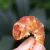 Import Gaishi organic dried shrimp from China