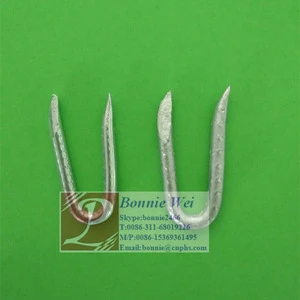 Galvanized U staples nails for fence without barbs