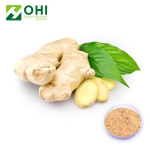 Ginger extract 6-gingerol 1% 2% 5% / the shelf life of powdered ginger