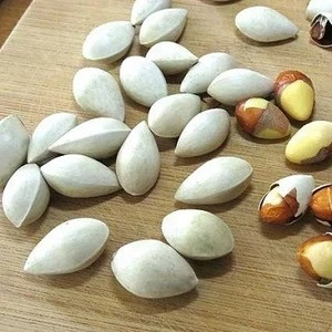 Ginkgo Nuts